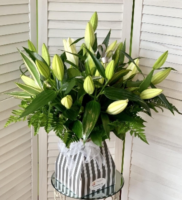 Luxurious Lillies