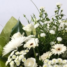 Imagine............. Sympathy
