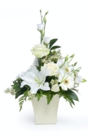 Elegance Sympathy